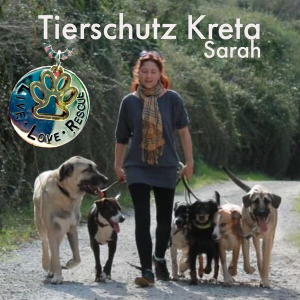 600;jsessionid=13185E6D48A98B0CDE238DDE9F487E69-n4